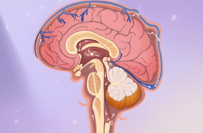 腦脊髓液外漏 腦脊髓液外漏